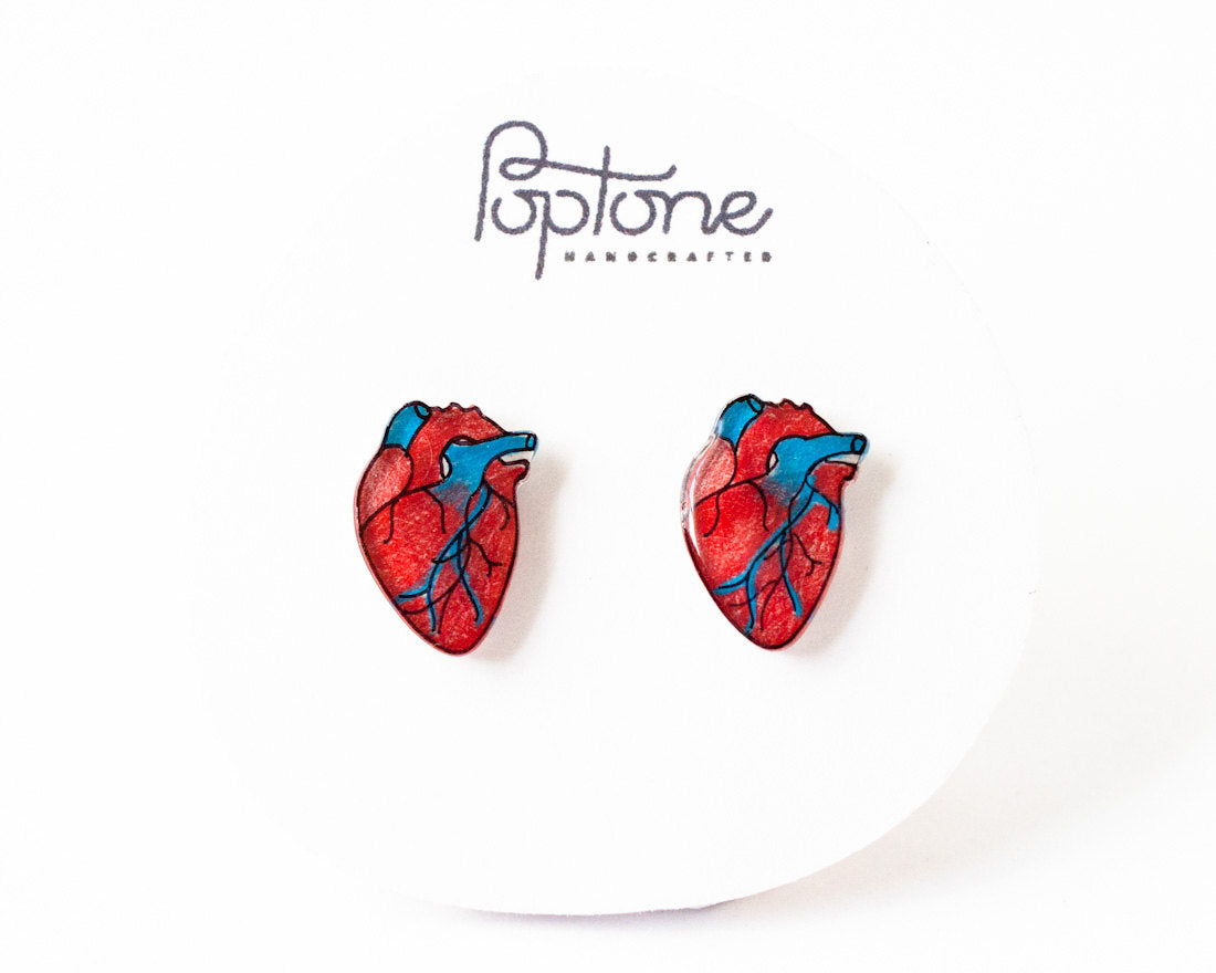 Anatomic Human Heart Stud Earrings