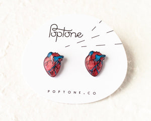 Anatomic Human Heart Stud Earrings