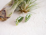Load image into Gallery viewer, Spotted Begonia Leaf Earrings | Polka Dot Begonia Maculata Houseplant Earrings
